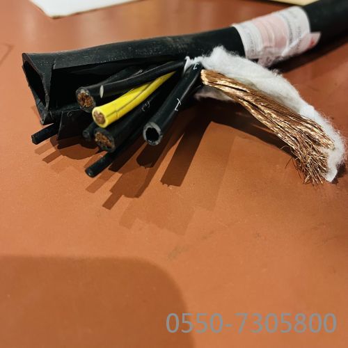 ¿¹ÀµçÀÂ24.jpg ¿¹ÀµçÀÂ24.jpg