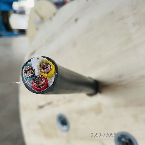 ÌØÖÖµçÀÂ.310.jpg ÌØÖÖµçÀÂ.310.jpg