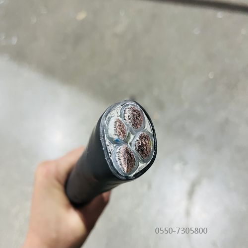 ÌØÖÖµçÀÂ.300.jpg ÌØÖÖµçÀÂ.300.jpg