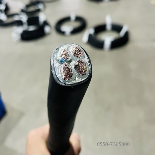 ÌØÖÖµçÀÂ.301.jpg ÌØÖÖµçÀÂ.301.jpg