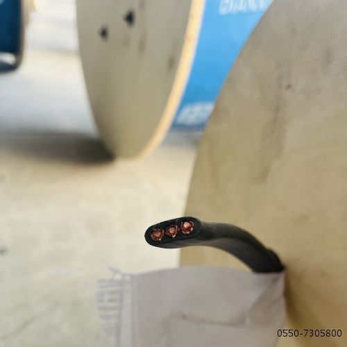 ÌØÖÖµçÀÂ...61.jpg ÌØÖÖµçÀÂ...61.jpg