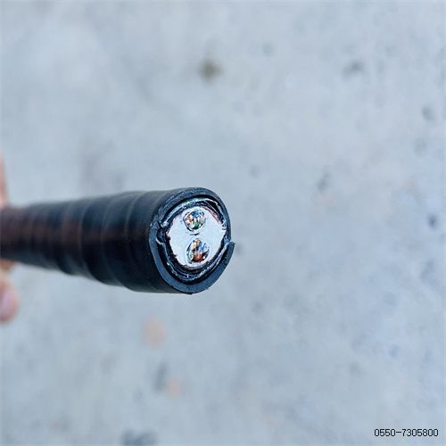 ÌØÖÖµçÀ³§¼Ò206.jpg ÌØÖÖµçÀ³§¼Ò206.jpg