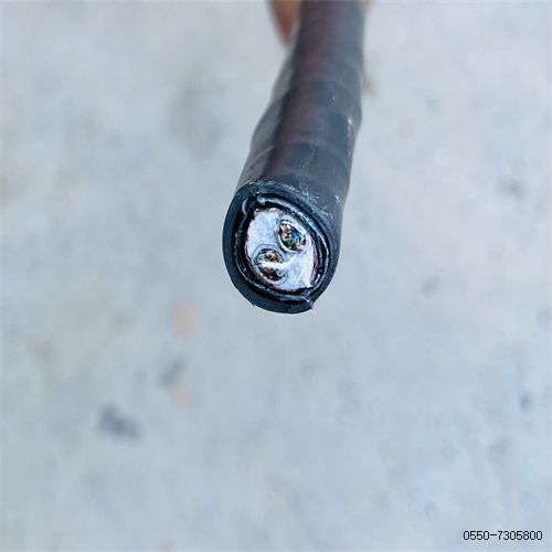 ÌØÖÖµçÀ³§¼Ò208.jpg ÌØÖÖµçÀ³§¼Ò208.jpg