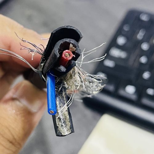 IMG_0772.jpg IMG_0772.jpg