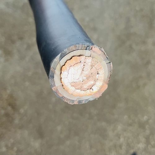 IMG_9947.jpg IMG_9947.jpg