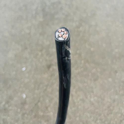 IMG_4872.jpg IMG_4872.jpg