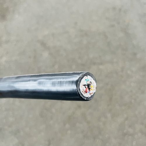 IMG_2658.jpg IMG_2658.jpg