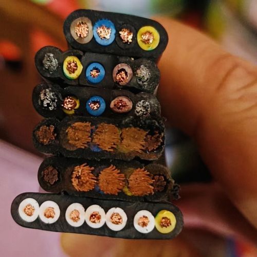 IMG_5195.jpg IMG_5195.jpg