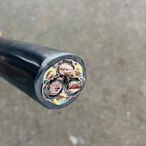 IMG_3653.jpg IMG_3653.jpg