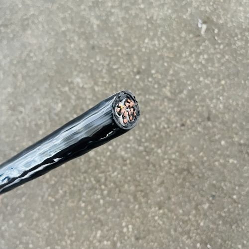 IMG_8523.jpg IMG_8523.jpg