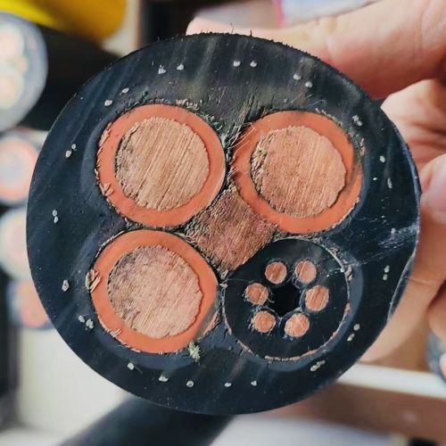 IMG_4004.jpg IMG_4004.jpg