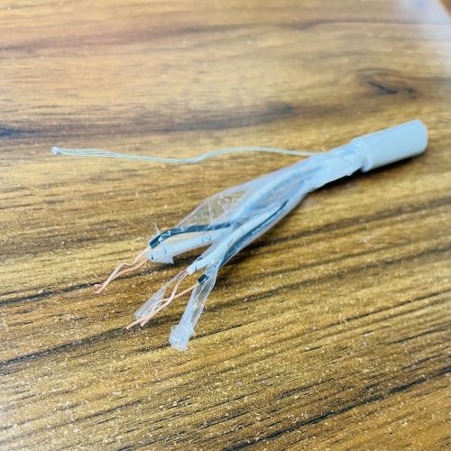 IMG_6006.jpg IMG_6006.jpg