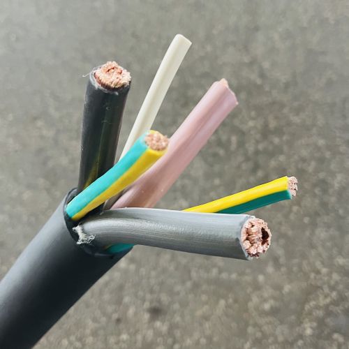 IMG_5337.jpg IMG_5337.jpg