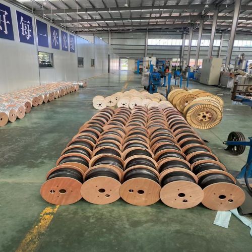 IMG_6247.jpg IMG_6247.jpg