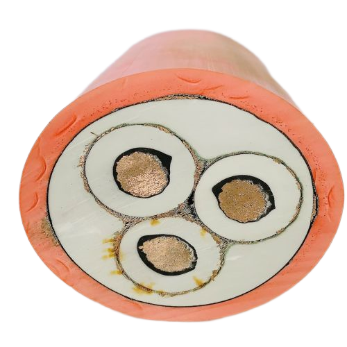 IMG_5029.png IMG_5029.png