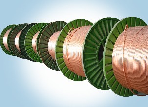 201703131803438176 201703131803438176