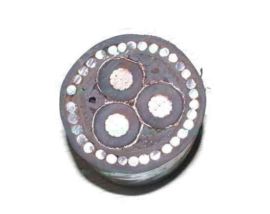 201703141833375769 201703141833375769