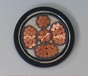 201703142119149568 201703142119149568