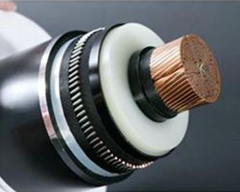 201703150933197541 201703150933197541