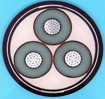 201703151414085376 201703151414085376