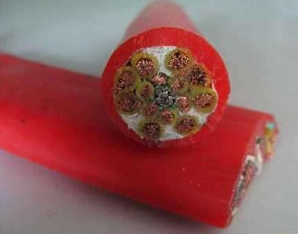 201703161847153873 201703161847153873