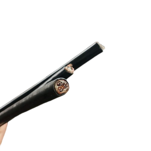 20241113121711551 20241113121711551