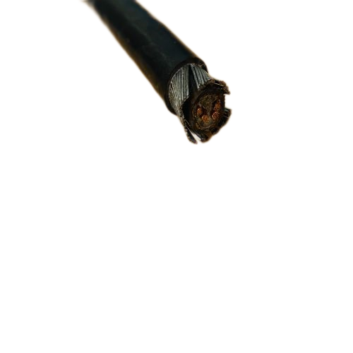 202411131220183451 202411131220183451