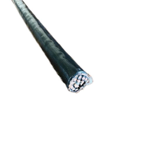 202411131221323212 202411131221323212