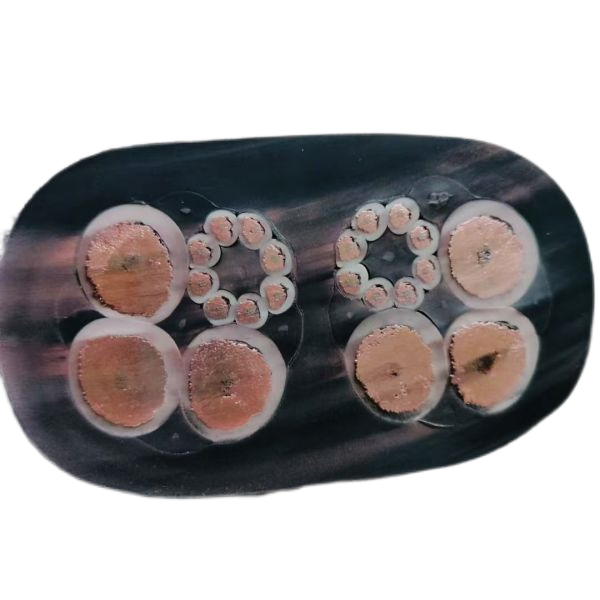 202411171502358979 202411171502358979