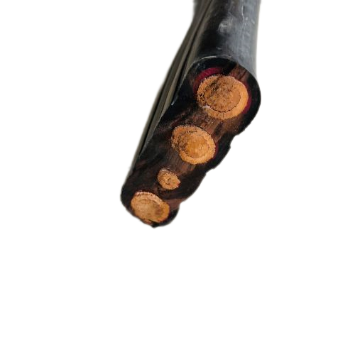 202411201649358480 202411201649358480