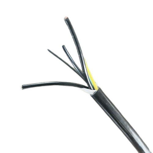 202411210943301101 202411210943301101