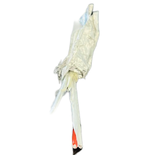 202411221703219172 202411221703219172