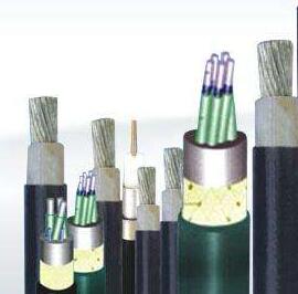 AG8亚洲游戏国际集团·(中国)官方网站