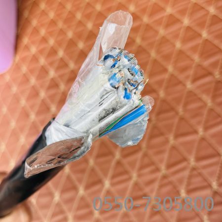 AG8亚洲游戏国际集团·(中国)官方网站