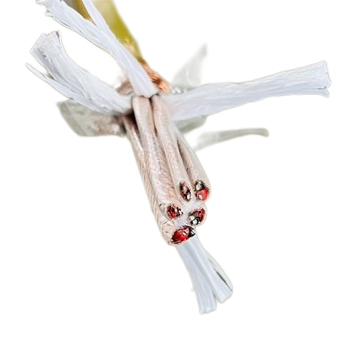 AG8亚洲游戏国际集团·(中国)官方网站