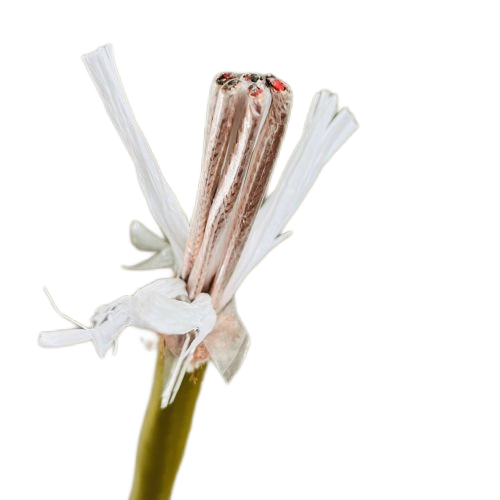 AG8亚洲游戏国际集团·(中国)官方网站