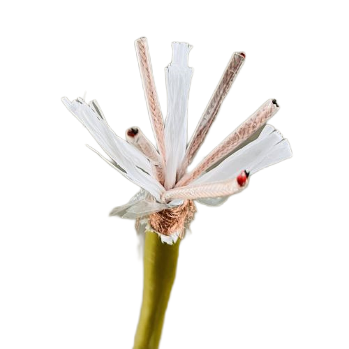 AG8亚洲游戏国际集团·(中国)官方网站