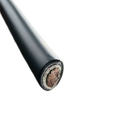 AG8亚洲游戏国际集团·(中国)官方网站