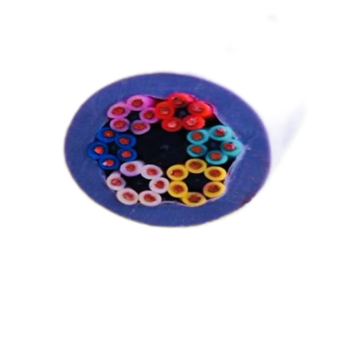 AG8亚洲游戏国际集团·(中国)官方网站