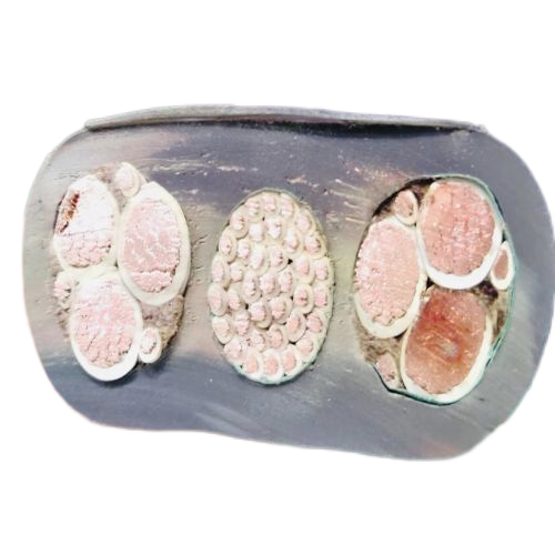 AG8亚洲游戏国际集团·(中国)官方网站